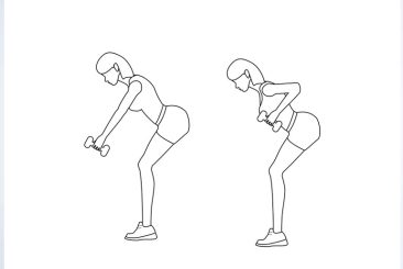 Bent over dumbbell rows