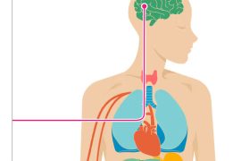 The Far-Reaching Effects of Anxiety