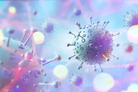 Gut Fungus's Long-Term Impact on Immune Response