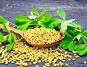 Incredible Benefits of Fenugreek for Blood Sugar and Cholesterol Control