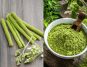 Moringa: Exploring Potential Benefits and How to Integrate this 'Miracle Tree' into Your Diet Safely
