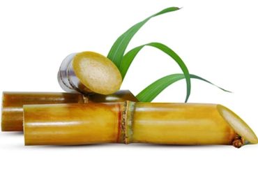 Sugarcane's Hidden Treasures: Unveiling Its Nutritional Riches and Health Benefits Beyond Sweetness