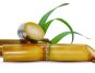 Sugarcane's Hidden Treasures: Unveiling Its Nutritional Riches and Health Benefits Beyond Sweetness
