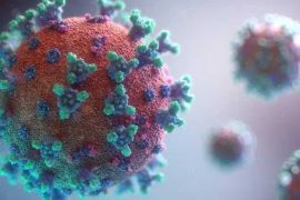 Vector-Borne Diseases Surge, Mental Health in Focus, and Ongoing Struggle Against Covid-19