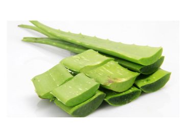 5 Creative Ways to Harness Aloe Vera for Weight Loss
