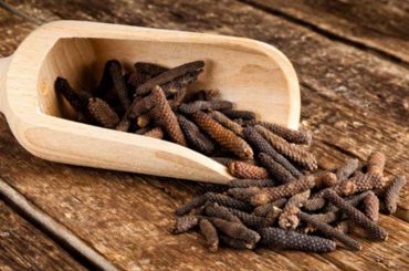 A Nutritionist Delves into the Power of Pippali and Its Health Benefits