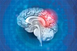 Study Links Common Gut Bacteria to Elevated Risk of Alzheimer's Disease