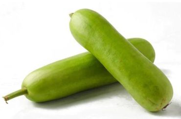 Unlocking the Numerous Benefits of Bottle Gourd - From Weight Loss to Tackling White Hair Woes