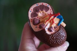 Study Finds Diabetes Medications Lower Risk of Kidney Stones