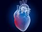 Unraveling the Symptoms of Swelling in the Heart