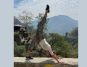Unveiling Transformative Benefits of 200-Hour Yoga Teacher Training with Gyan Yog Breath