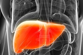 Understanding Fatty Liver Disease: Unveiling Causes and Expert Tips to Combat this Silent Disease