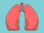 9 Ways Yoga Enhances Lung Capacity and Alleviates Respiratory Symptoms