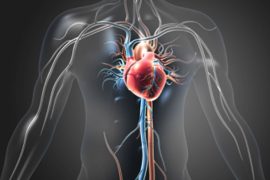 Exploring the Link Between Anemia and Heart Failure