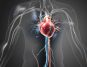 Exploring the Link Between Anemia and Heart Failure