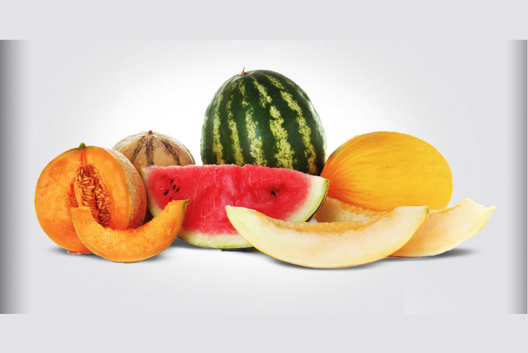 Ayurvedic Summer Diet: Essential Foods for a Balanced Seasonal