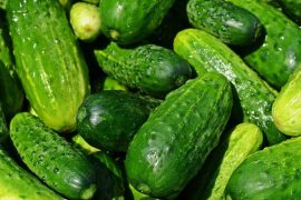 Mind-Blowing Health Benefits of Cucumber for a Refreshing Summer