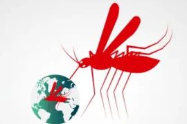 Vital Warning Signs of Malaria on World Malaria Day 2024