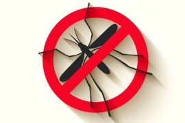 Climate Change Imperils Malaria