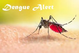 Dengue Virus Alert: Warning Signs You Should Never Overlook