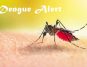 Dengue Virus Alert: Warning Signs You Should Never Overlook