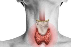 Top Foods for Combatting Thyroid Issues: Your Ultimate Guide