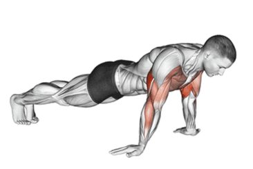 Reverse hand push-ups