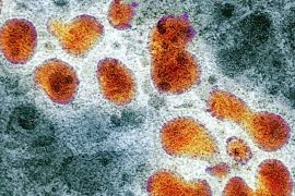 Bengal Health Department Reports No New Cases of Avian Influenza in Humans