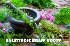 Ayurvedic Brain Boost: Herbs for Enhanced Cognitive Health