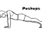 Benefits of Daily Pushups: Why They Swear By It