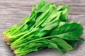 Mustard Greens: The Vibrant Superfood Your Plate Needs Now
