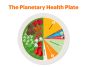 Your Transition to a Planetary Health Diet: A Comprehensive Guide