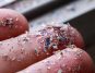 Microplastics Are Everywhere—Are They Harming Us?