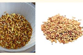 Eat These 2 Foods Every Morning for Just 2 Days a Week to Build Stronger Muscles!