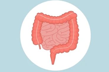 5 Best Detox Methods to Cleanse Your Gut