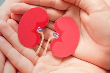 Your Kidney Health