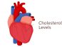 Why Cholesterol Levels Rise in Winter: Here's What You Need to Know