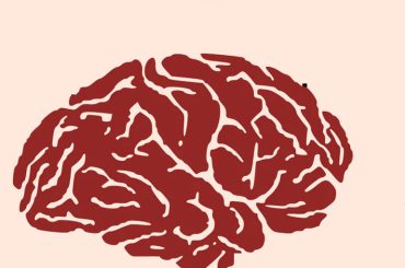 Just 30 Minutes of Exercise Boosts Brain Power for 24 Hours, Study Finds