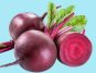 Can Beetroot Help Control Blood Sugar? Here's How People with Diabetes Can Benefit