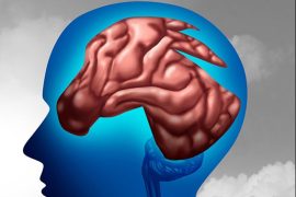 Study Uncovers Brain Areas Linked to Political Intensity