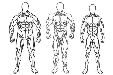 Mesomorph Body Workout
