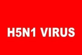 H5N1 Bird Flu