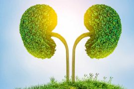 A Doctor Offers Strategies to Improve Children's Kidney Health