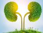 A Doctor Offers Strategies to Improve Children's Kidney Health