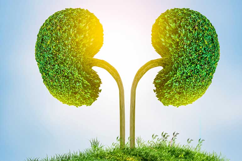 A Doctor Offers Strategies to Improve Children’s Kidney Health A Doctor Offers Strategies to Improve Children's Kidney Health