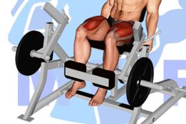 Skip the Machine: 10 Leg Extension Alternatives for Toned Legs