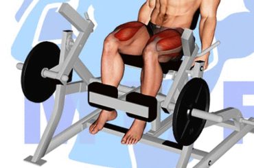 Skip the Machine: 10 Leg Extension Alternatives for Toned Legs