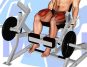 Skip the Machine: 10 Leg Extension Alternatives for Toned Legs