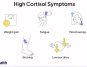 Coach Identifies 10 Unknown Symptoms of High Cortisol