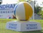 86th Wyndham Championship